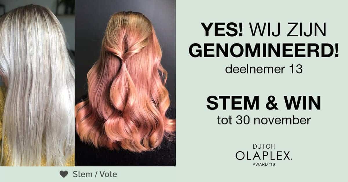 kapper Rijswijk, kapper Den Haag, Olaplex, Olaplex awards